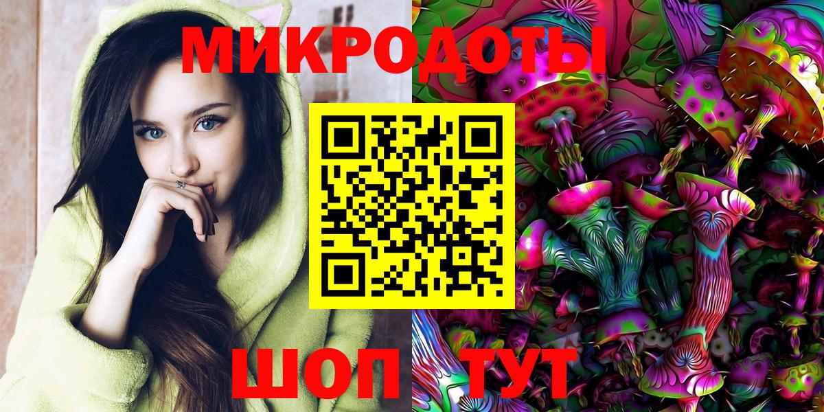 Галлюциногенные грибы Psilocybe Алушта