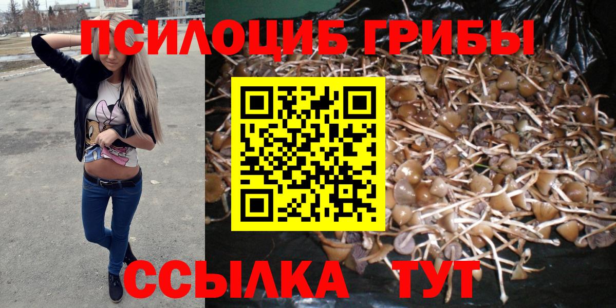 Алушта  Псилоцибиновые грибы Magic Shrooms  Псилоцибиновые грибы MAGIC MUSHROOMS  Вход с VPN 